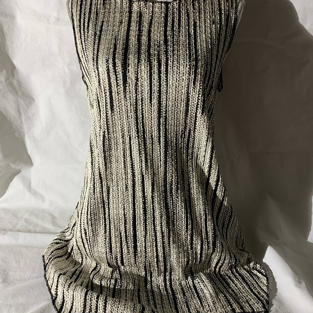 Trisha Tyler Size M Length 31” Top Poly